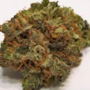 Trainwreck