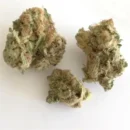 Strawberry Cough